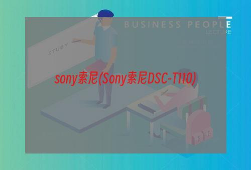 sony索尼(Sony索尼DSC-T110)