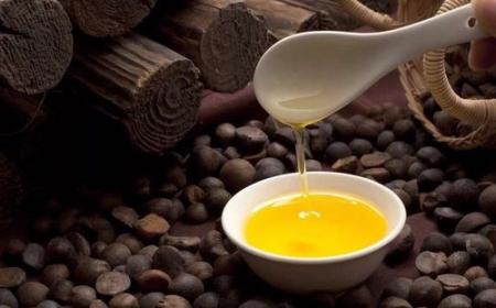 茶籽油的保质期有多长时间(自己榨的山茶油保质期多久)
