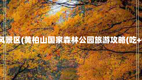 商城县黄柏山风景区(黄柏山国家森林公园旅游攻略(吃+住+交通指南))