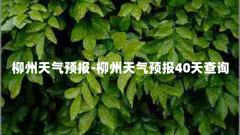 柳州天气预报-柳州天气预报40天查询