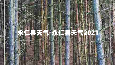 永仁县天气-永仁县天气2021