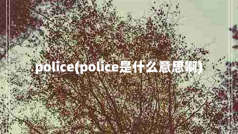 police(police是什么意思啊)