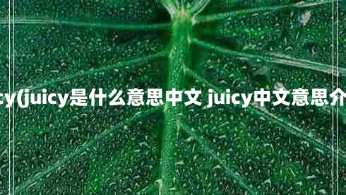 juicy(juicy是什么意思中文 juicy中文意思介绍)