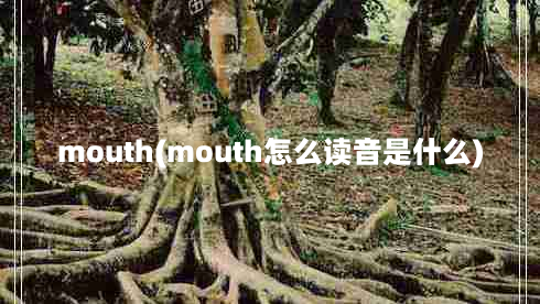 mouth(mouth怎么读音是什么)