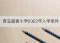 青岛超银小学2022年入学条件(2022年深圳小学入学积分查询)
