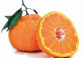 柑橘有哪些功效与作用禁忌"(小柑橘茶功效与作用)