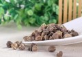 辣木籽的功效及吃法(辣木籽的吃法和用量)