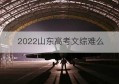2022山东高考文综难么(山东文综总分)